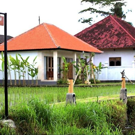 Padi Guest House Керамас Екстериор снимка